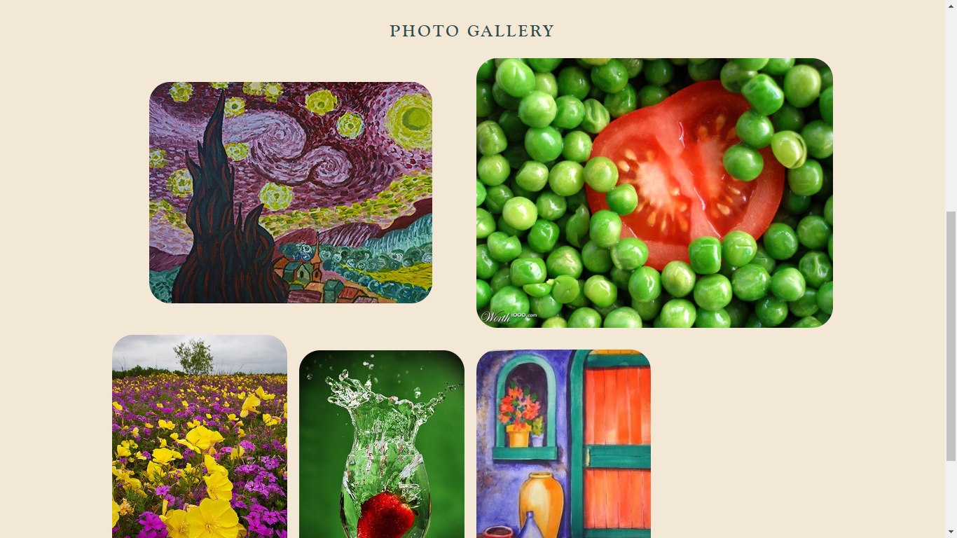 Each webpage features a gallery of picture examples